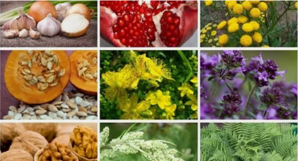 Tratamento de parasitos no corpo humano con remedios populares